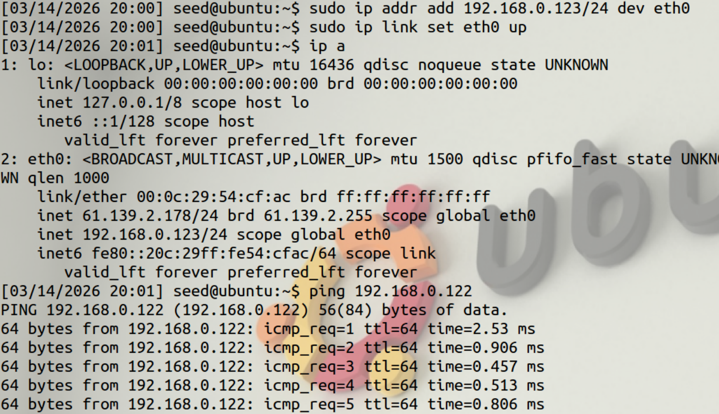 图 9 网络设置与Ping测试