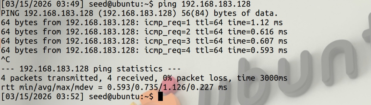 图 4 检查是否可以ping通