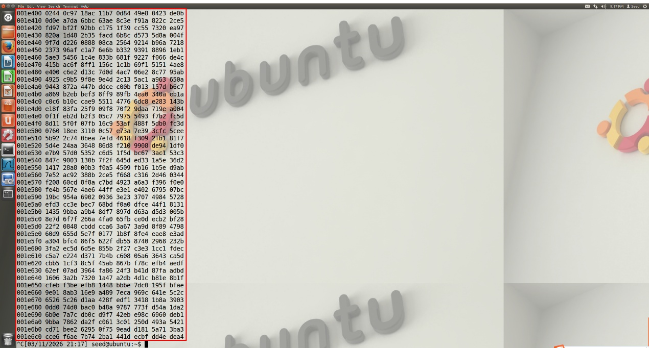 图6 /dev/urandom随机数生成