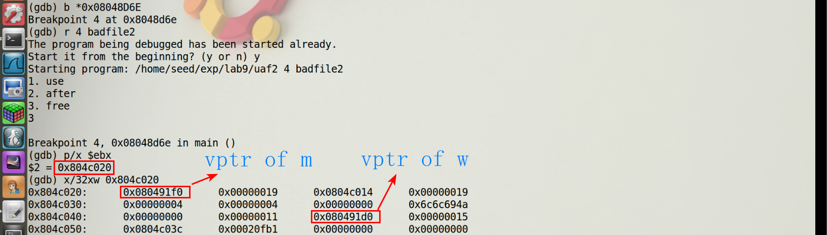 图8 查看分配内存中的内容