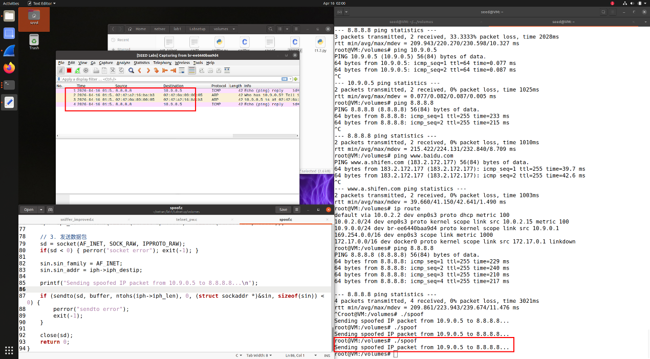 图19 伪造ICMP echo请求并观察到回应