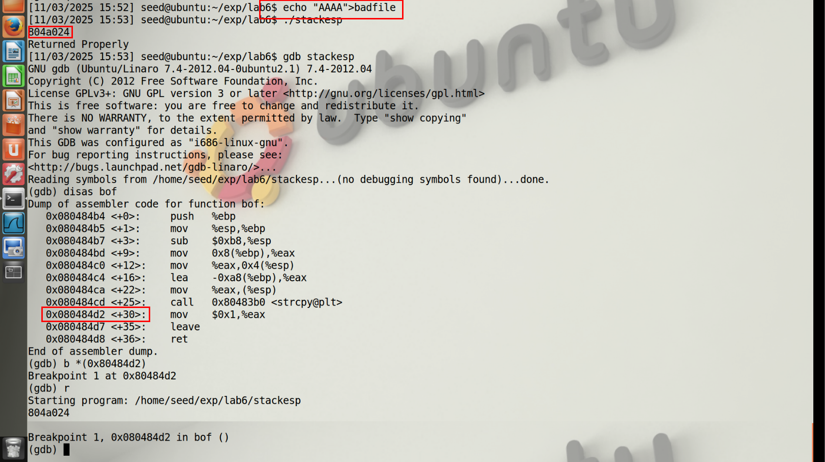 图2 生成测试输入、获得someint地址与断点地址
